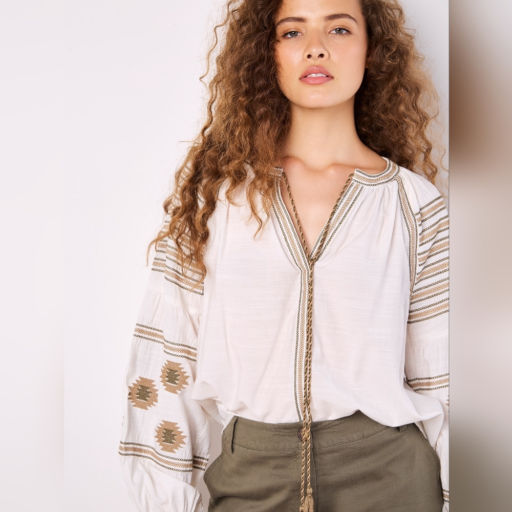 Blouson Sleeve Embroidered Top